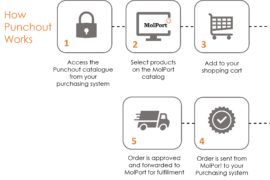 How MolPort punchout works