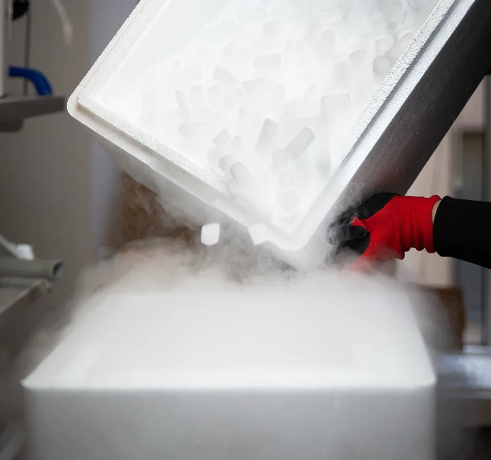 Molport dry ice delivery