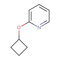 2-cyclobutoxypyridine