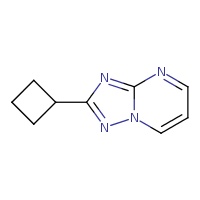 2-cyclobutyl-[1,2,4]triazolo[1,5-a]pyrimidine