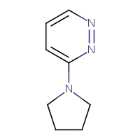 3-(pyrrolidin-1-yl)pyridazine