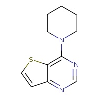 1-{thieno[3,2-d]pyrimidin-4-yl}piperidine