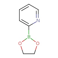 2-(1,3,2-dioxaborolan-2-yl)pyridine
