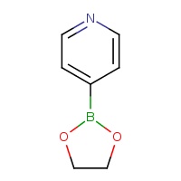 4-(1,3,2-dioxaborolan-2-yl)pyridine