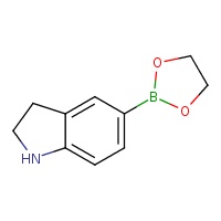 5-(1,3,2-dioxaborolan-2-yl)-2,3-dihydro-1H-indole