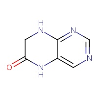 5,6,7,8-tetrahydropteridin-6-one